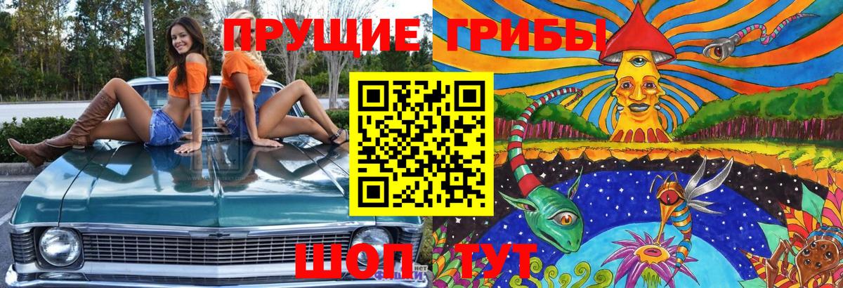 Тосно  Галлюциногенные грибы мицелий  Вход с VPN 