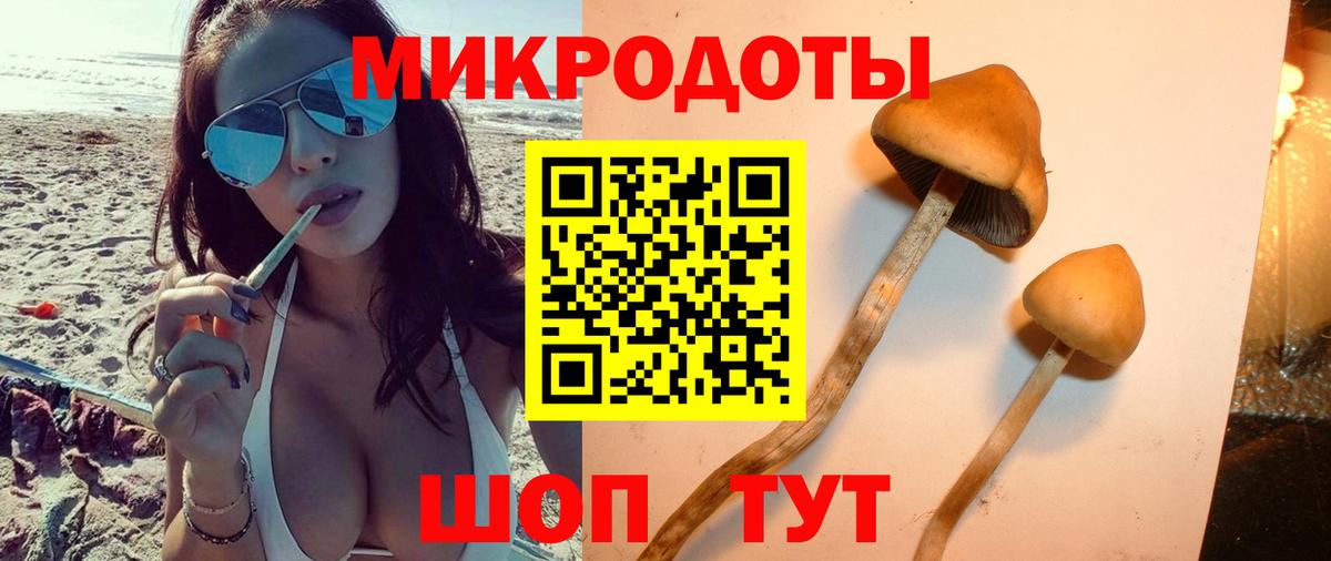 Галлюциногенные грибы Cubensis Тосно