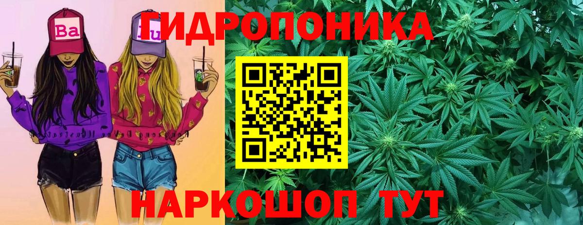 Марихуана тримм  Канабис семена  МАРИХУАНА OG Kush  Вход с VPN  Тосно 